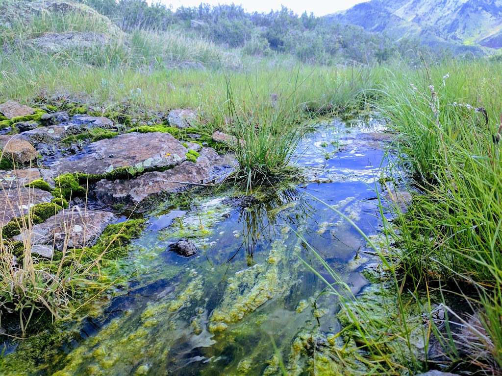 North Table Mountain Park West Trailhead | 4788 CO-93, Golden, CO 80403, USA | Phone: (303) 271-5925