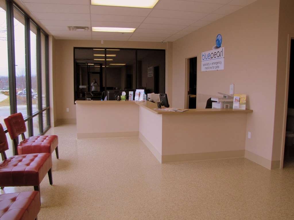 BluePearl Veterinary Partners | 139 NE 91 St, Kansas City, MO 64155, USA | Phone: (816) 759-5016