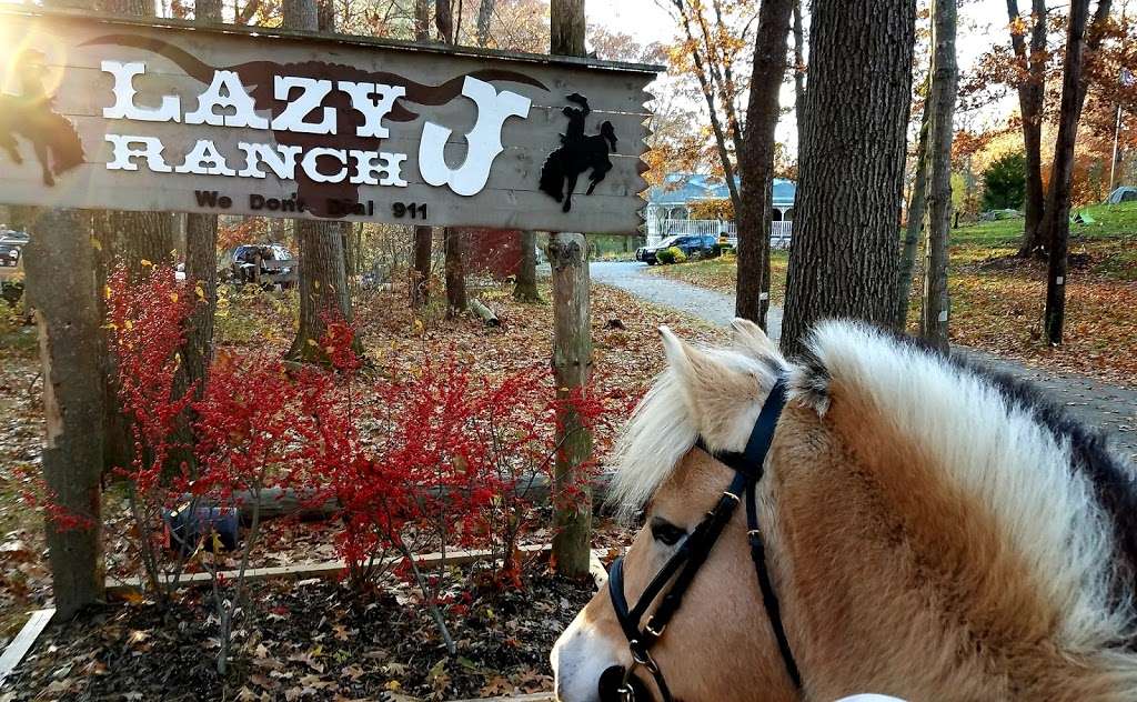 Lazy J Ranch, LLC | 49 Seabrook Rd, Salisbury, MA 01952, USA | Phone: (978) 828-6337