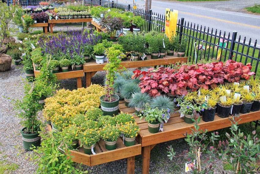 Country Mile Gardens | 1108 Mt Kemble Ave, Morristown, NJ 07960, USA | Phone: (973) 425-0088