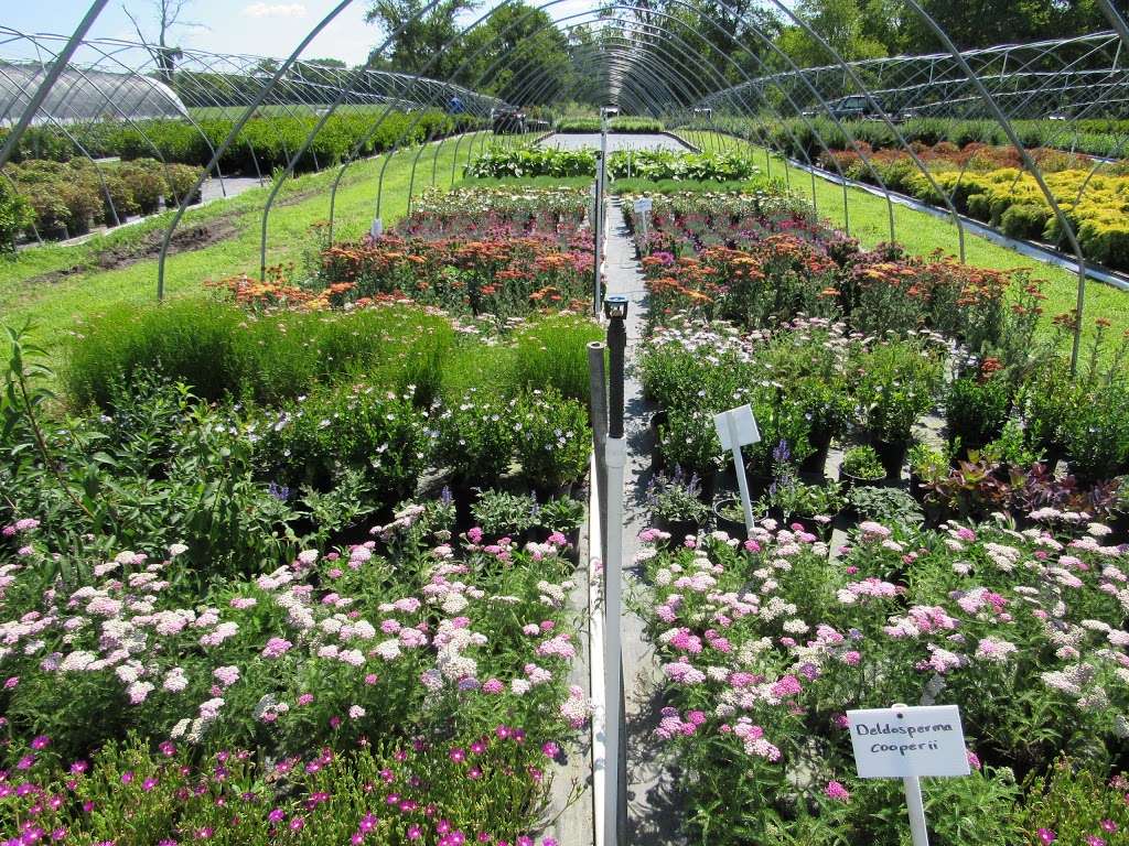 Monroeville Nursery | 182 Pinyard Rd, Monroeville, NJ 08343, USA | Phone: (856) 392-6465