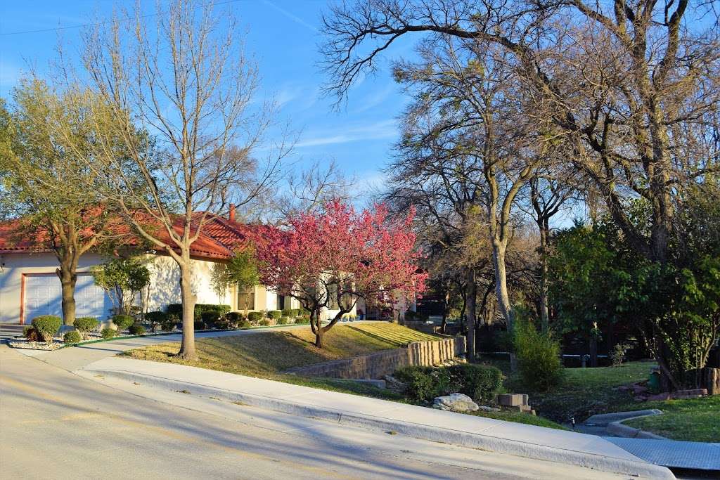 Mother of Perpetual Help Parish | 2121 Apollo Rd, Garland, TX 75044, USA | Phone: (972) 414-7073