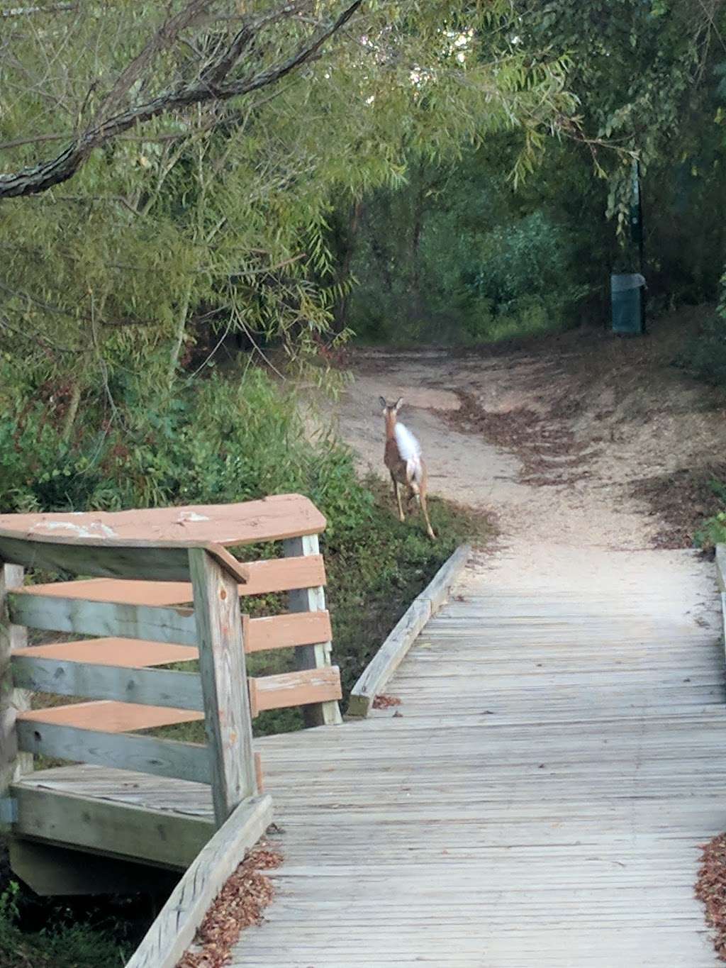 Piney Orchard Nature Preserve | 5 Maryland 2, Pasadena, MD 21122, USA