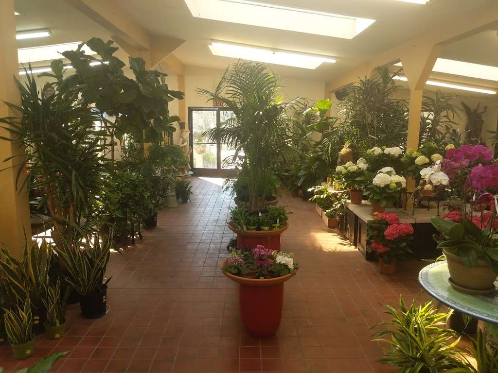 La Crescenta Nursery | 1001, 3654 La Crescenta Ave, Glendale, CA 91208, USA | Phone: (818) 249-2448