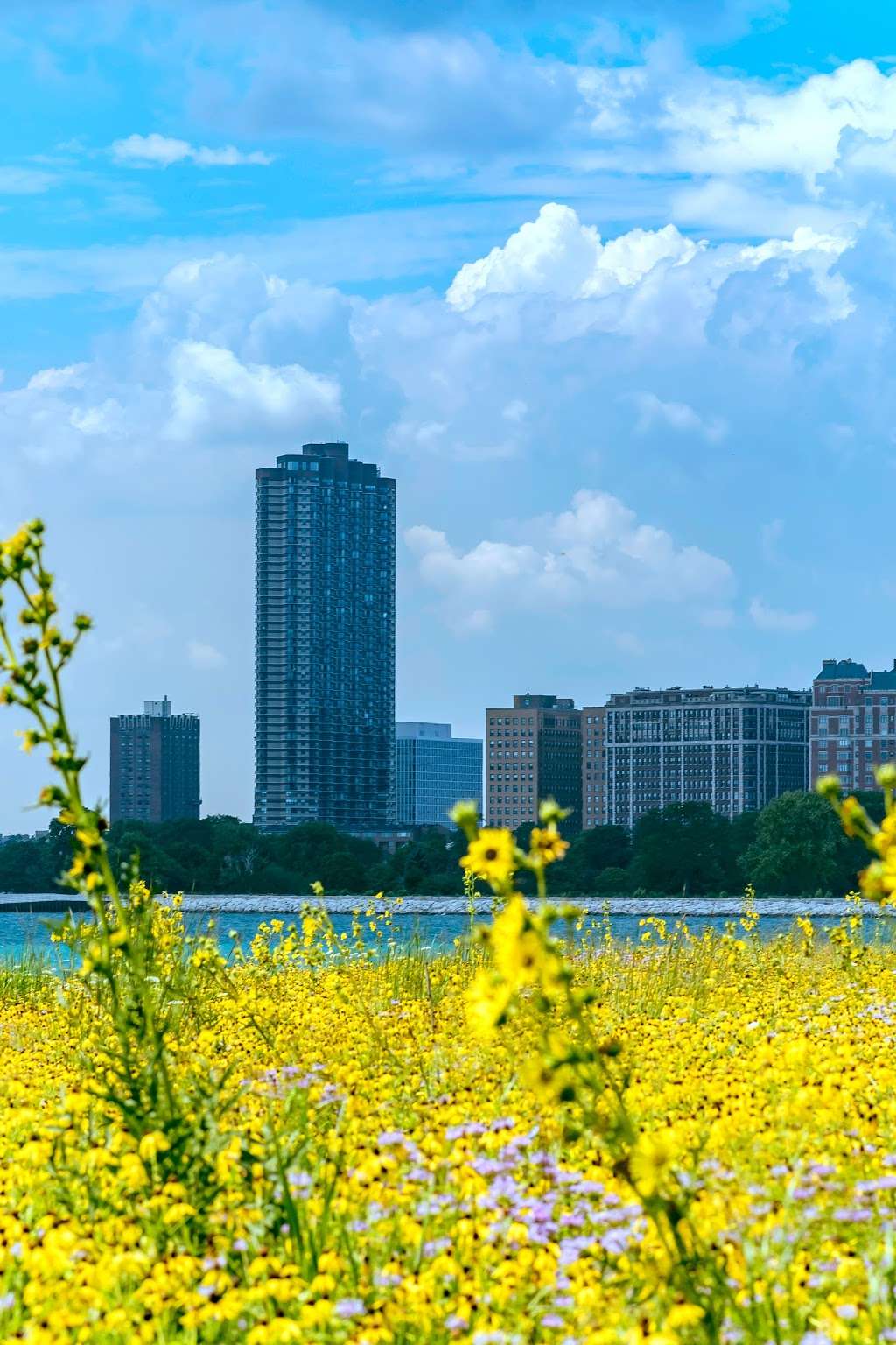 Montrose Point Bird Sanctuary | Chicago, IL 60640, USA