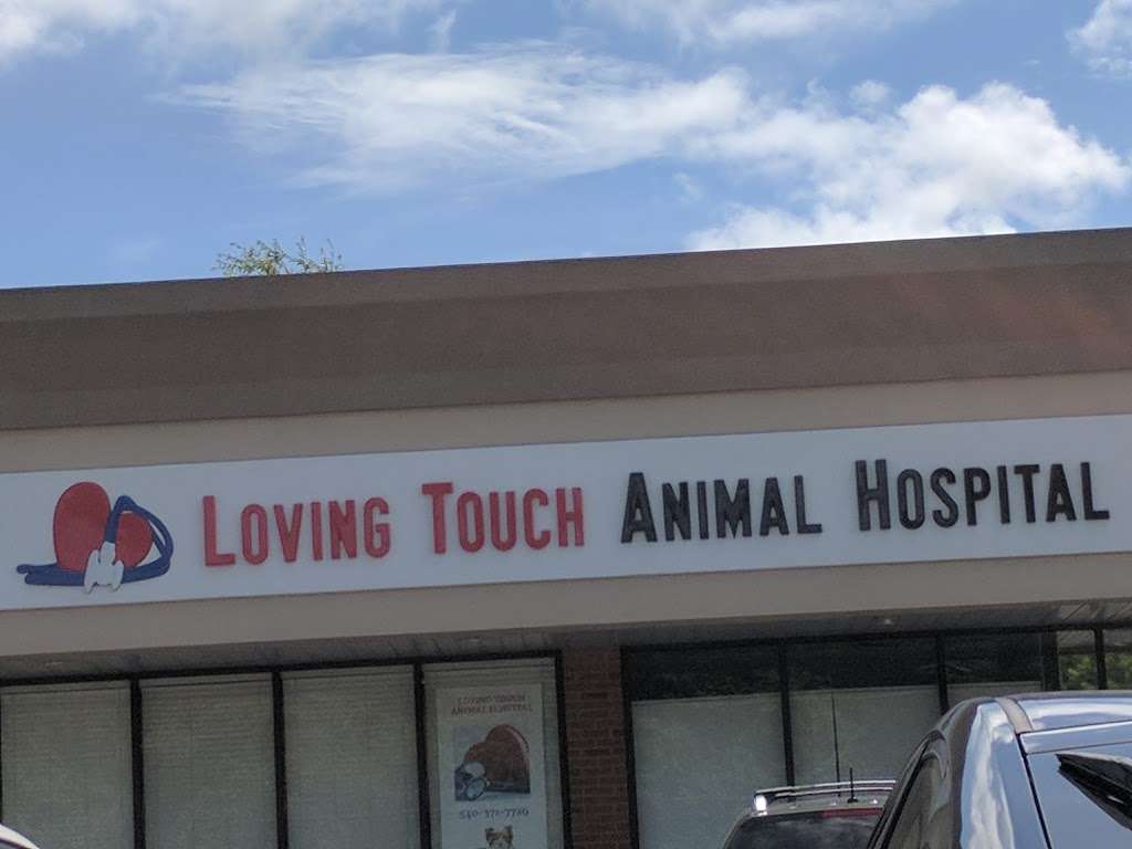 Loving Touch Animal Hospital | 628 Cambridge St, Fredericksburg, VA 22405, USA | Phone: (540) 371-7729