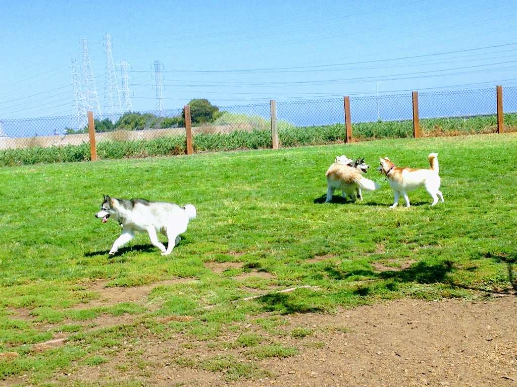 John Lee Dog Park | 2045 Detroit Dr, San Mateo, CA 94404, USA