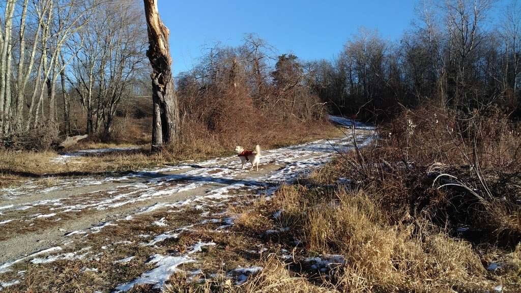 Wayne F. McCallum Wildlife Management Area | Rice Ln, Westborough, MA 01581, USA