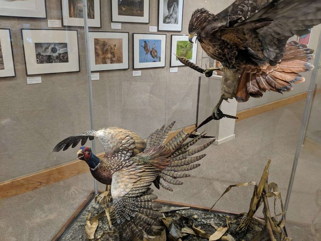 The Ward Museum of Wildfowl Art | 909 S Schumaker Dr, Salisbury, MD 21804 | Phone: (410) 742-4988