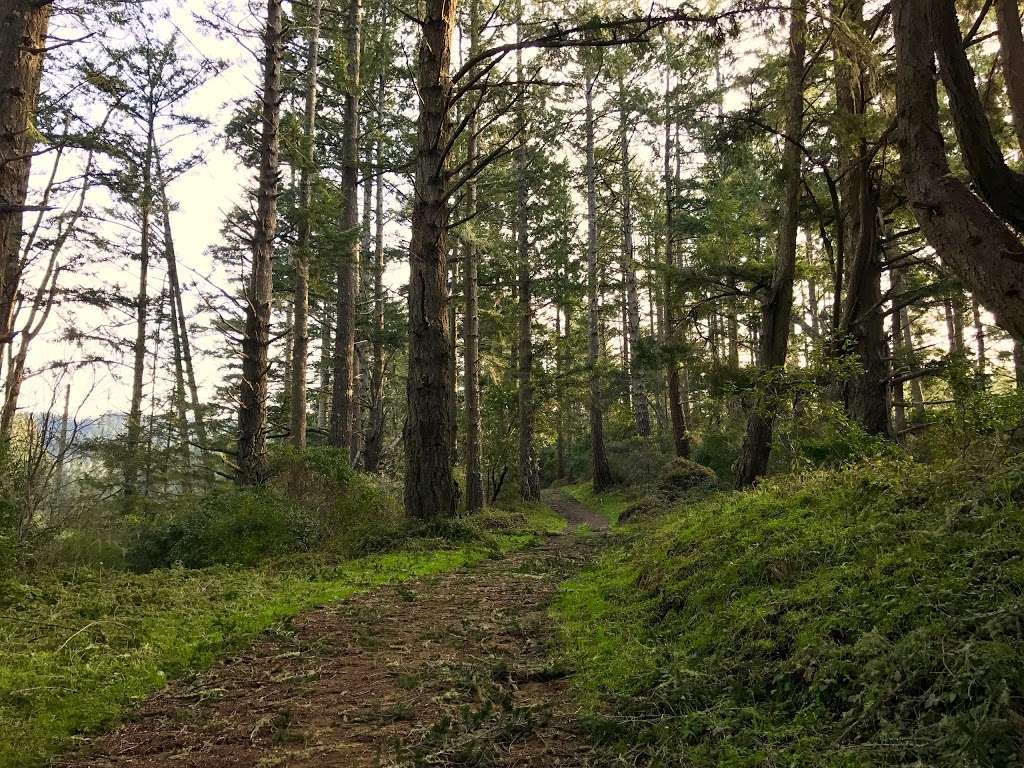 Randall Trailhead Access on Hwy 1 | Randall Trail, Bolinas, CA 94924