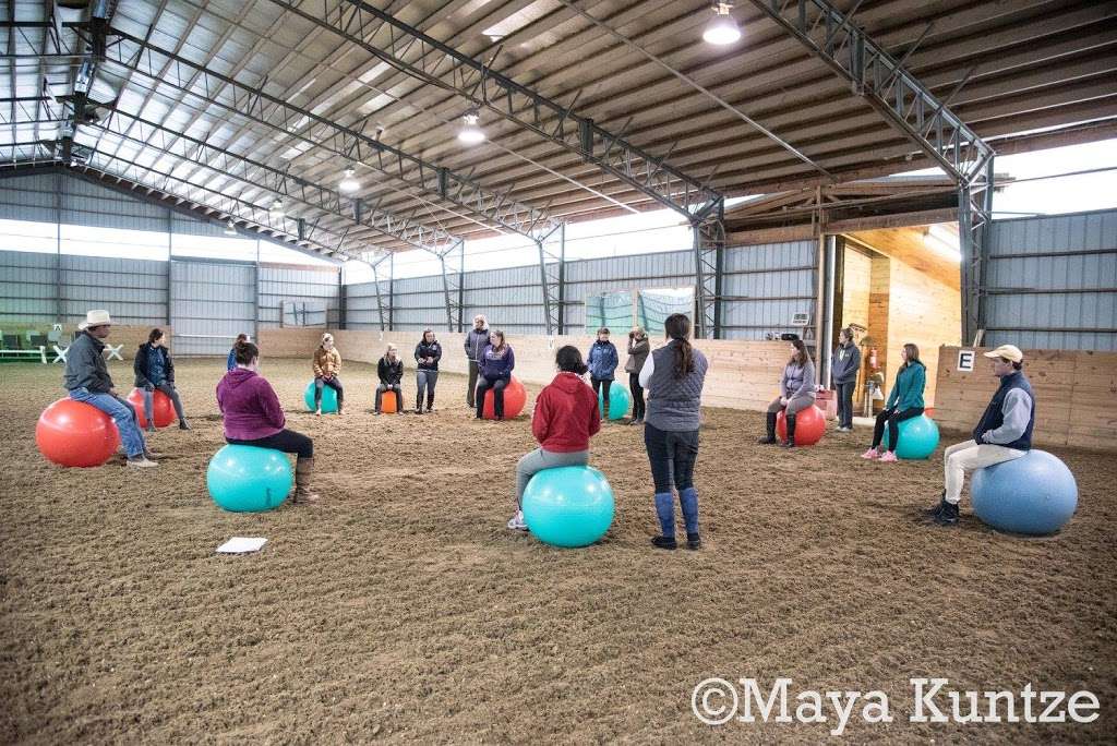 Playland Equestrian Center | 12924 Molasses Rd, Union Bridge, MD 21791, USA | Phone: (301) 788-1188