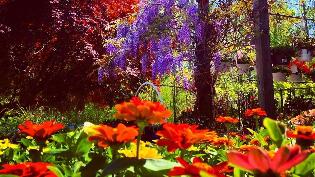 Silverbrook Nursery & Landscaping | 8408 Monacan Rd, Lorton, VA 22079 | Phone: (703) 690-1231