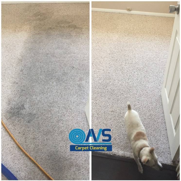 AVS Carpet Cleaning | 3053 Manos Dr, San Diego, CA 92139, United States | Phone: (619) 410-4324