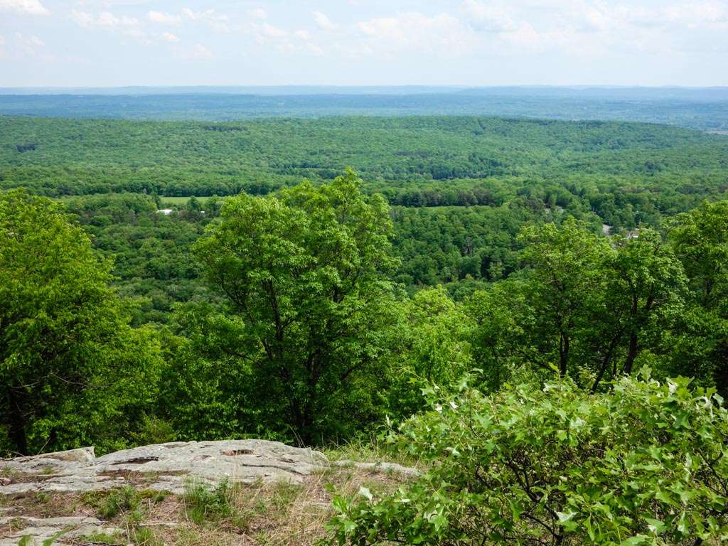 Rattlesnake Trail | Blairstown, NJ 07825, USA