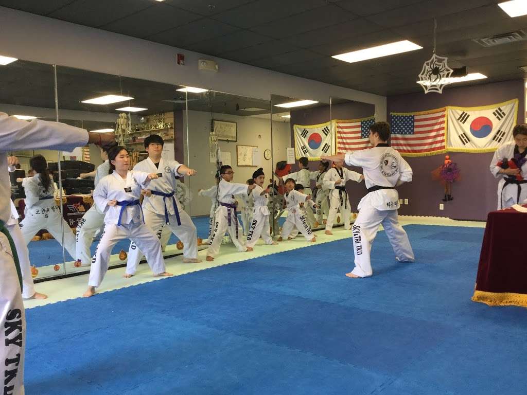 SKY Taekwondo | 403 King George Rd, Basking Ridge, NJ 07920, USA | Phone: (908) 917-1336