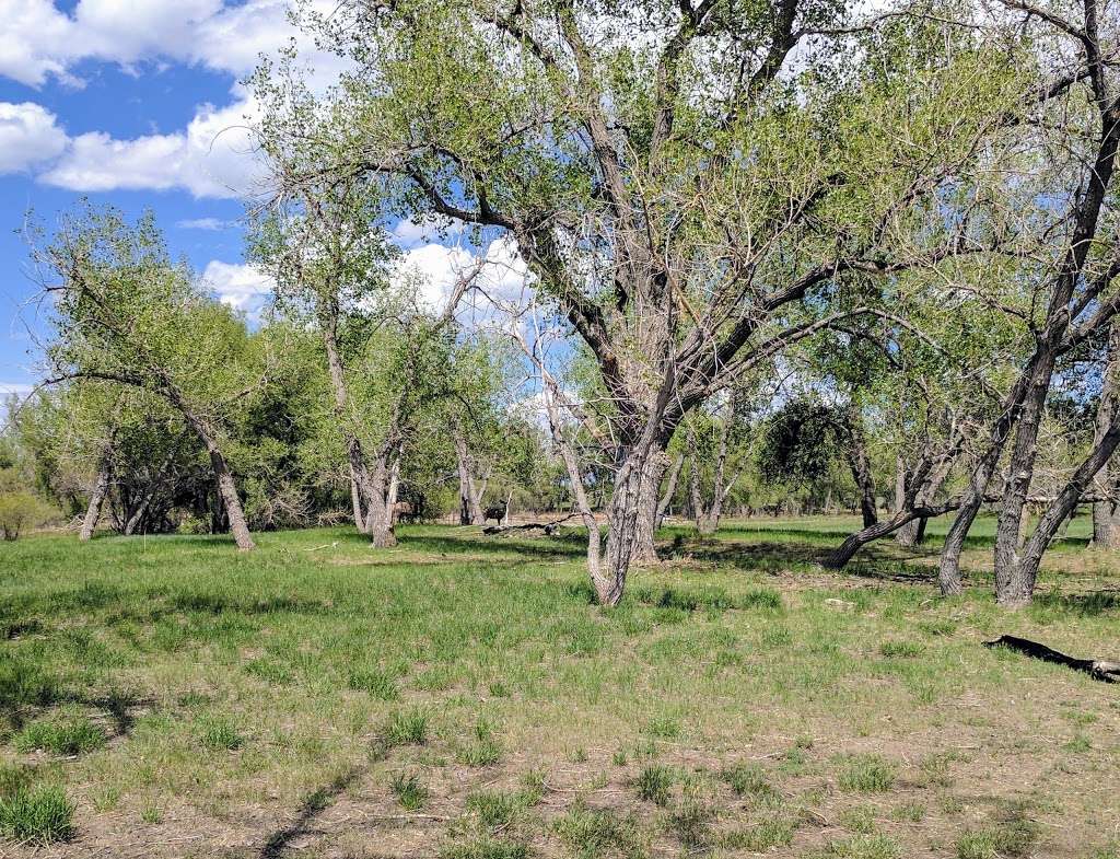 Prairie Gateway Open Space | Prairie Pkwy, Denver, CO 80239 | Phone: (303) 289-3763