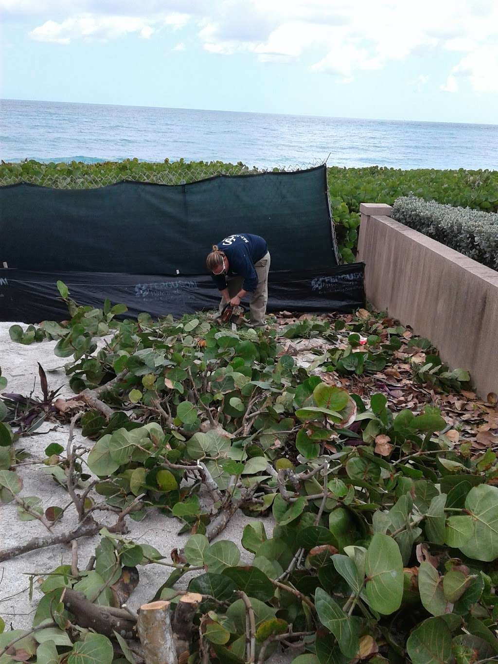 Ocean Drive Roofing, Inc. | 35 Ocean Dr, Jupiter, FL 33469, USA | Phone: (561) 972-4941