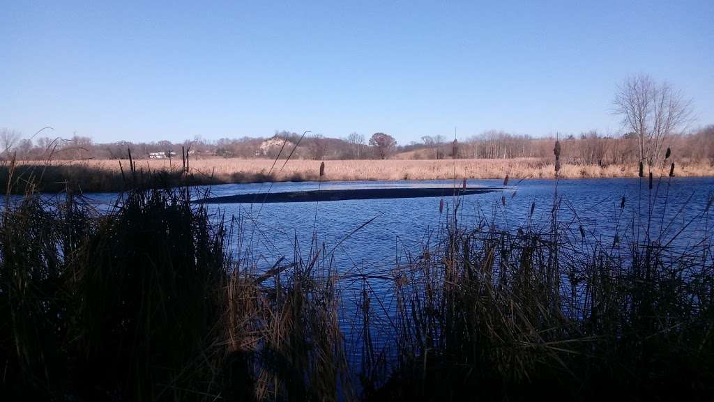 Texas Island Woods State Natural Area | Froelich Rd, Helenville, WI 53137, USA | Phone: (888) 936-7463