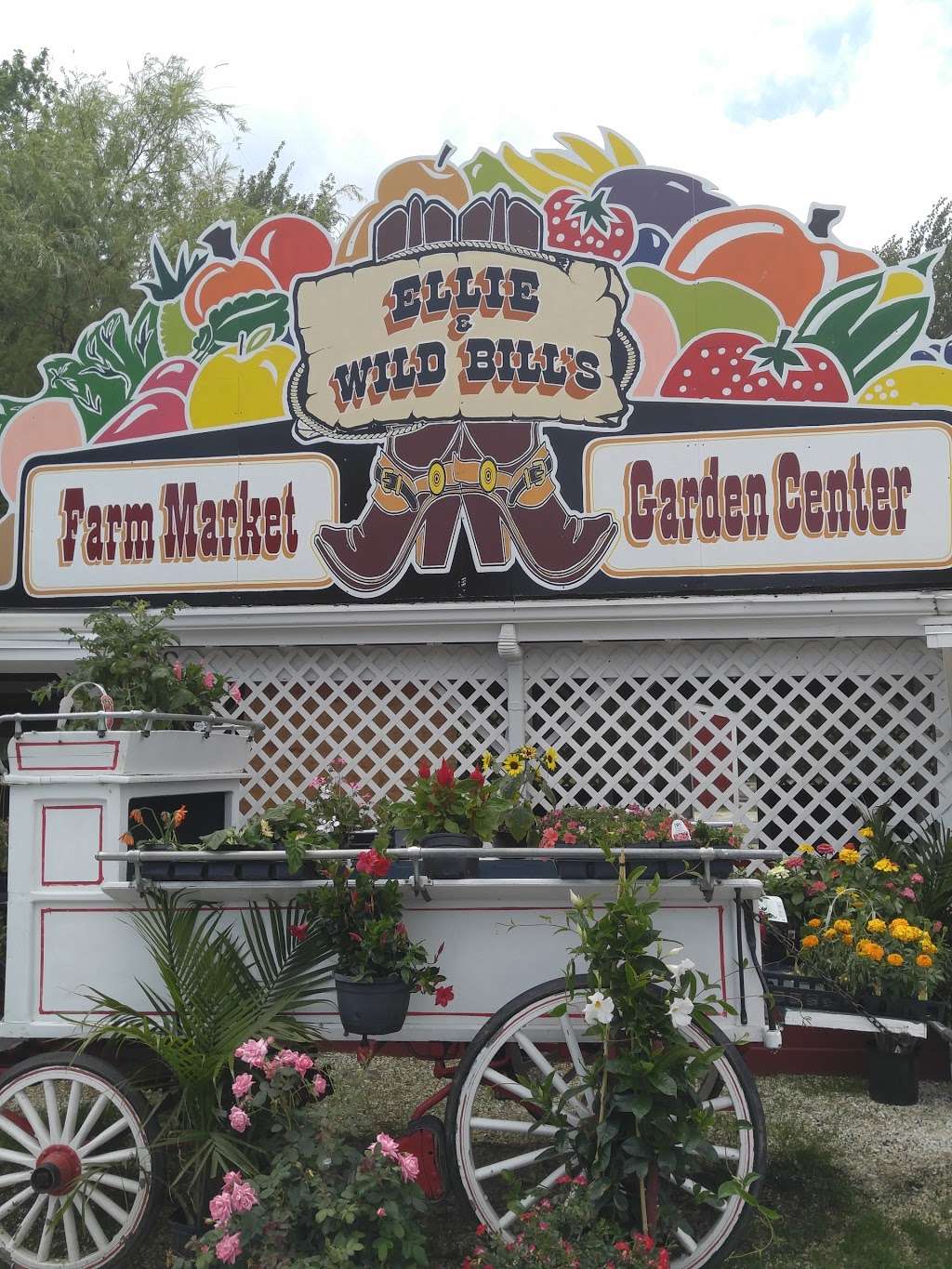 Ellie & Wild Bills Farm Market and Garden Center | 517 S Delsea Dr, Cape May, NJ 08204, USA