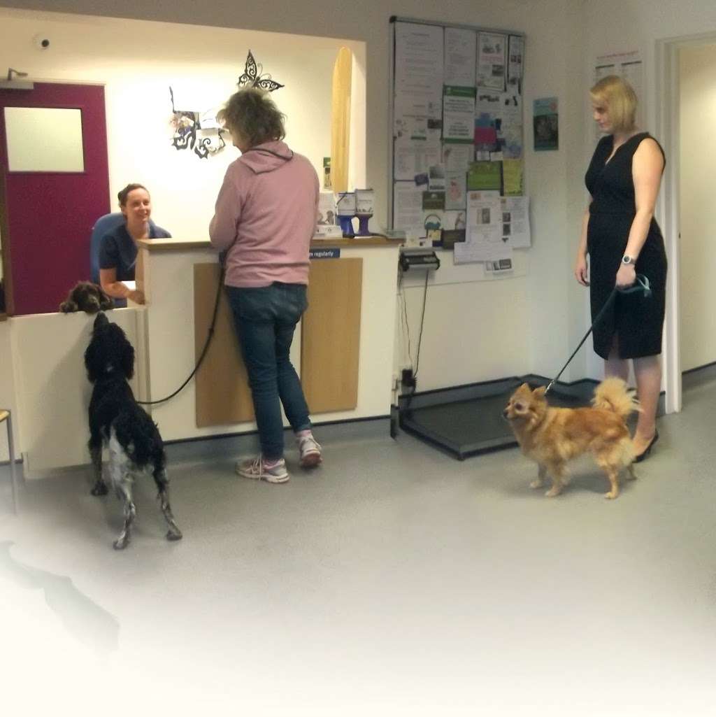 Moloney Veterinary Clinics | Takeley Business Centre, Dunmow Rd, Takeley, Bishops Stortford CM22 6SJ, UK | Phone: 01279 874845