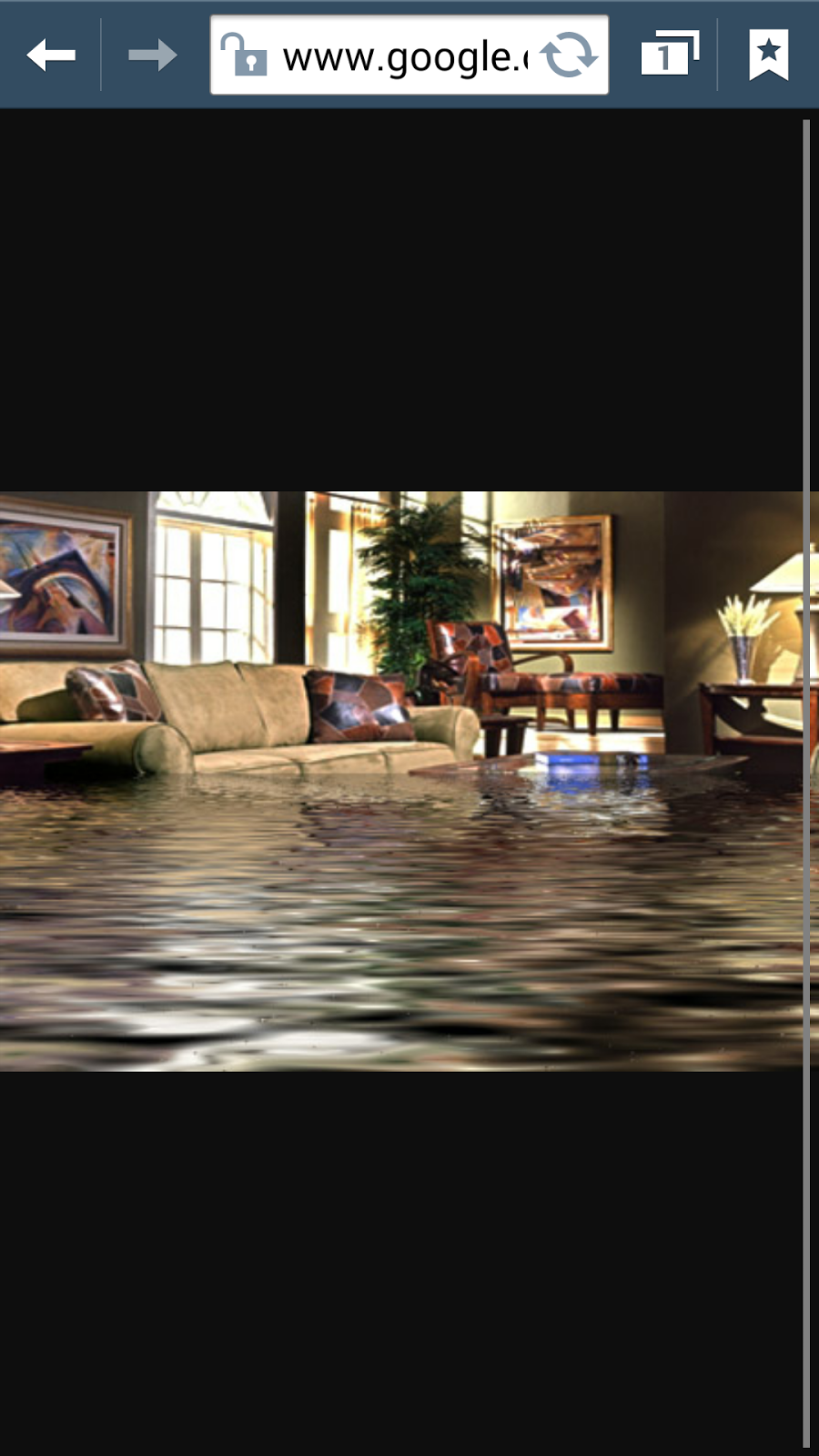 Phillip White Water Restoration & Carpet Cleaning LLC | 440 Santiago Ave, Orlando, FL 32807, USA | Phone: (407) 860-5846