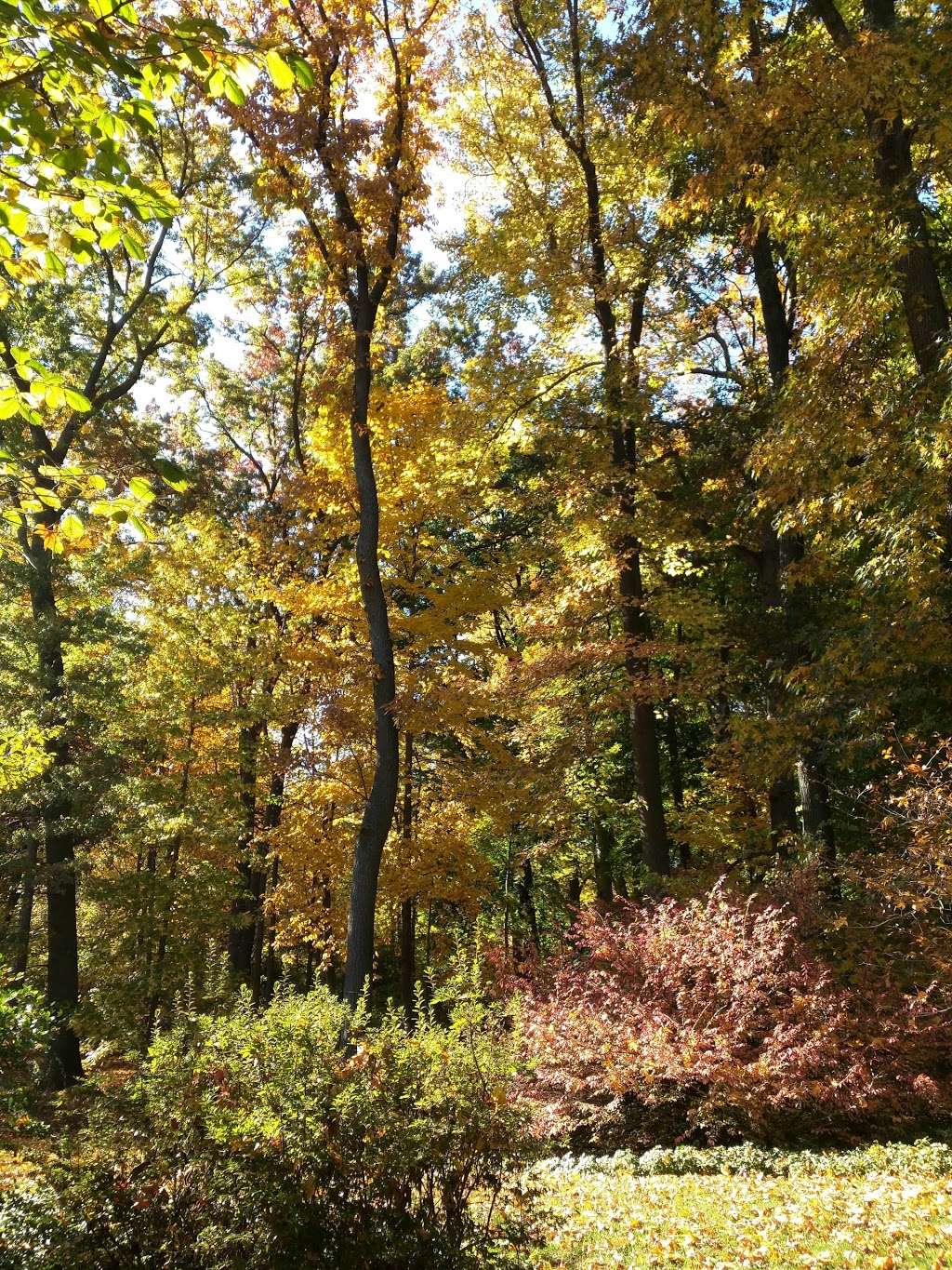 Quaker Cemetery | Brooklyn, NY 11215, USA