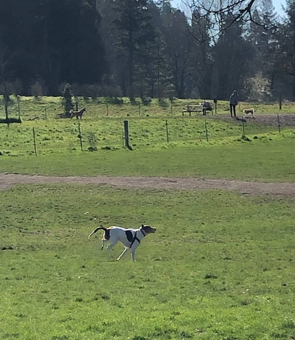 Chimney Park | 9360 N Columbia Blvd, Portland, OR 97203, USA | Phone: (503) 823-7529