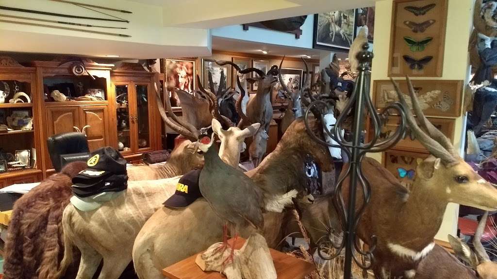 Old World Taxidermy | 724 S Plum Grove Rd, Palatine, IL 60067 | Phone: (847) 359-6938