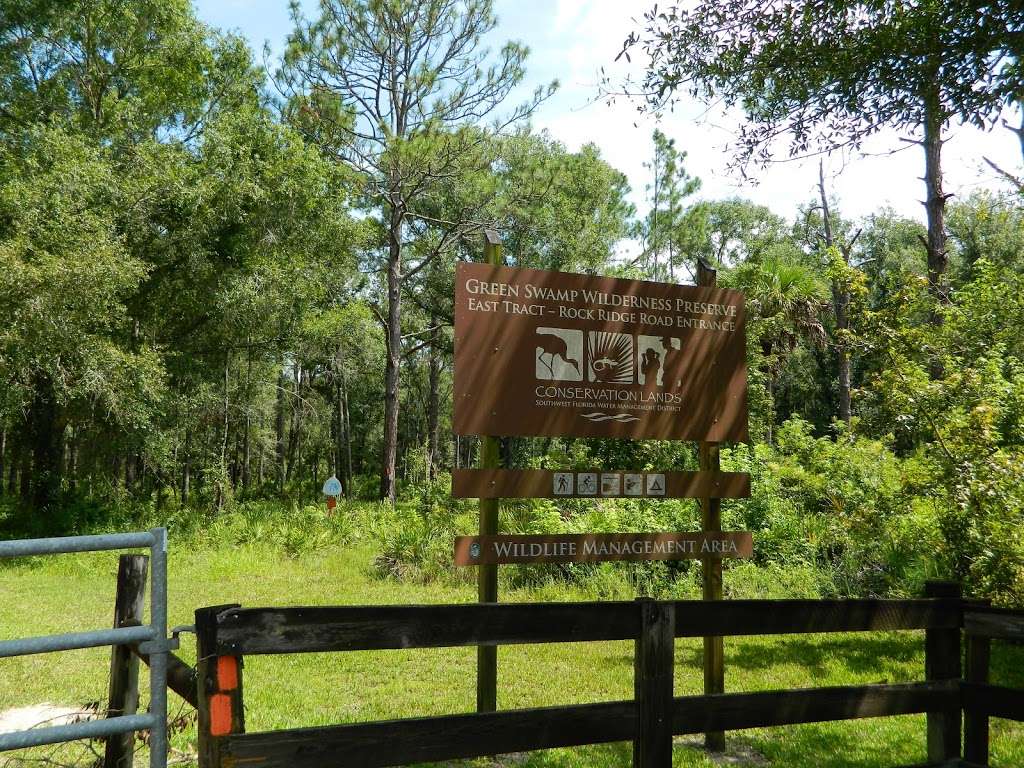 Green Swamp Wilderness Preserve - East Tract | Polk City, FL 33868, USA