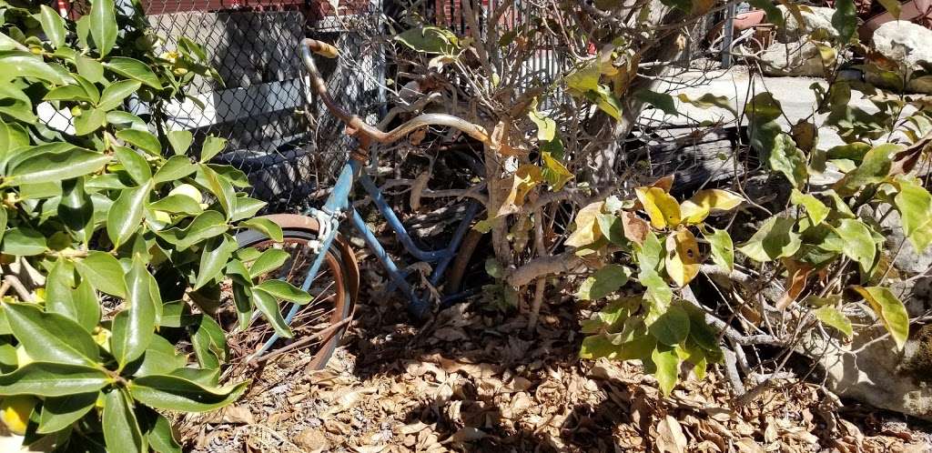 Santa Cruz Mountain Herbs | 22990 CA-17, Los Gatos, CA 95033, USA | Phone: (408) 353-1717