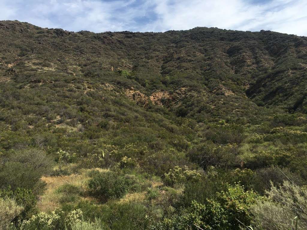 Lady Face Trail Head | 4163-4599 Kanan Rd, Agoura Hills, CA 91301, USA