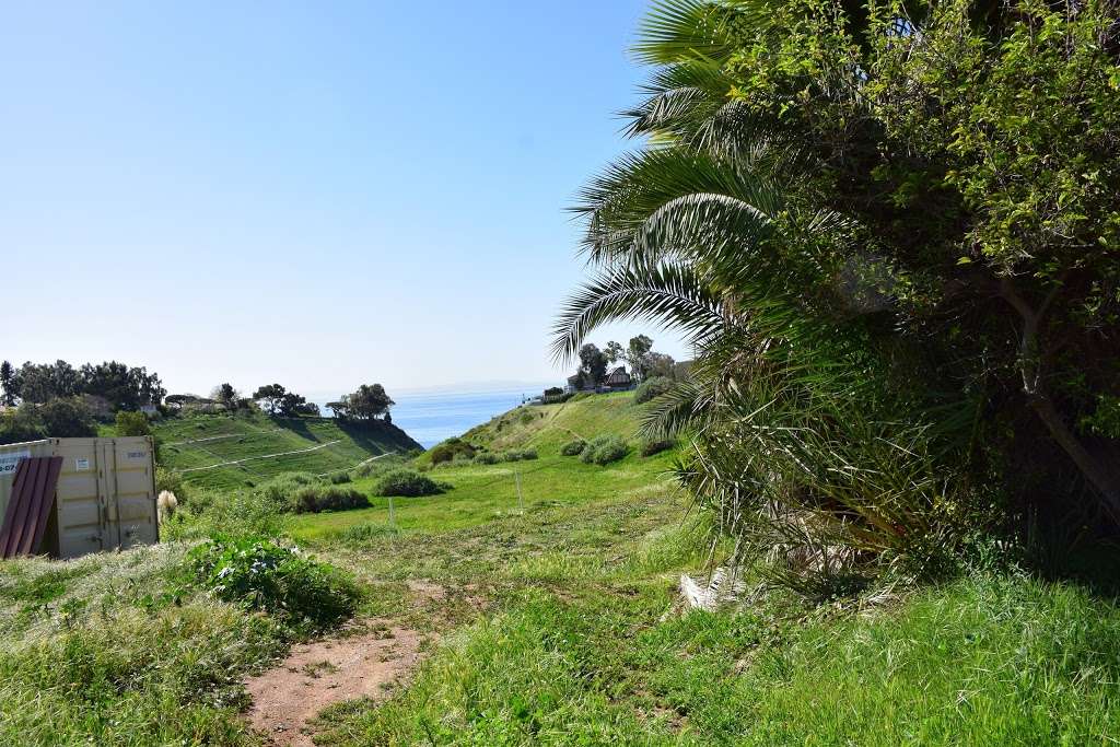 Potrero Canyon Park | Pacific Palisades, CA 90272, USA | Phone: (310) 836-1040