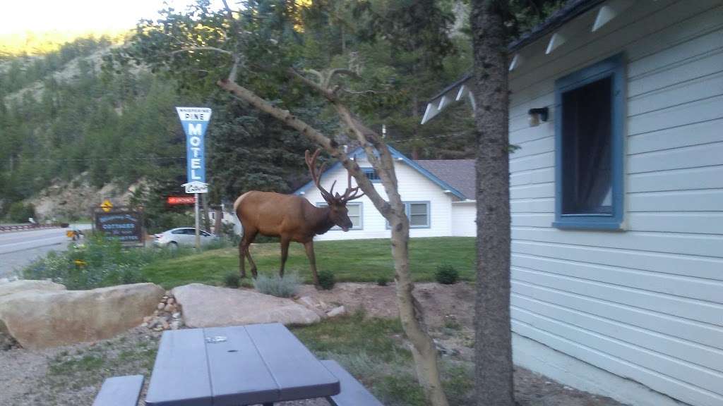 Whispering Pines Cottages | 2646 Big Thompson, Estes Park, Co 80517, Drake, CO 80515, USA | Phone: (970) 586-5258