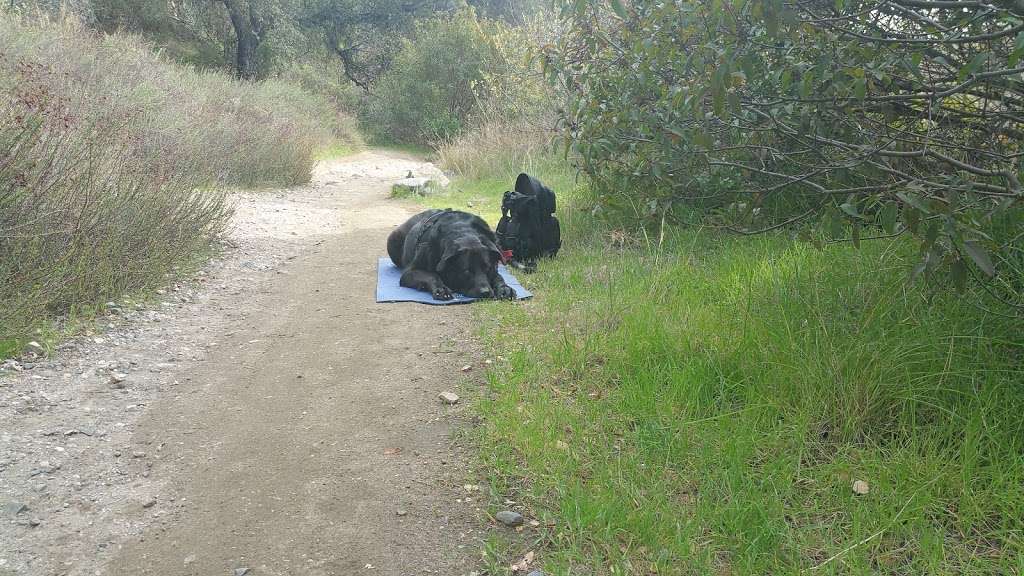 Mystic Canyon Trailhead | Mystic Canyon Trail, Glendora, CA 91741, USA