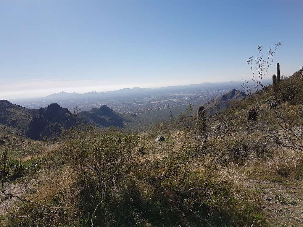 McDowell Sonoran Preserve | Windgate Pass Trail, Scottsdale, AZ 85255, USA