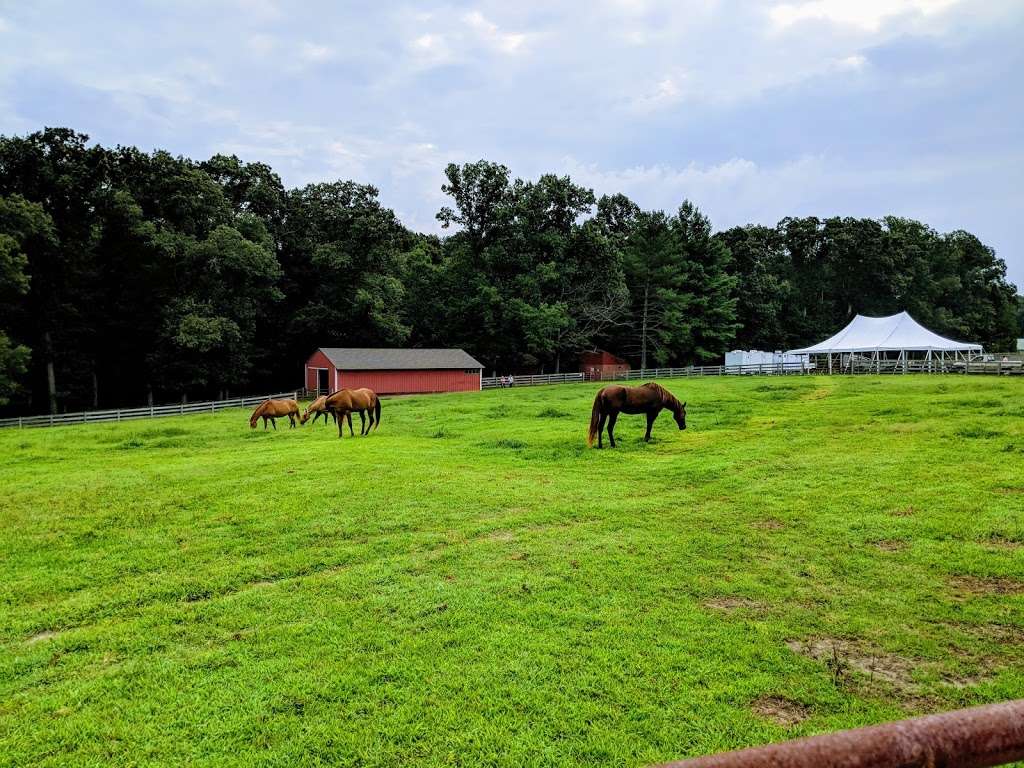 Devasya | 20500 Remuda Ln, Milford, VA 22514, USA