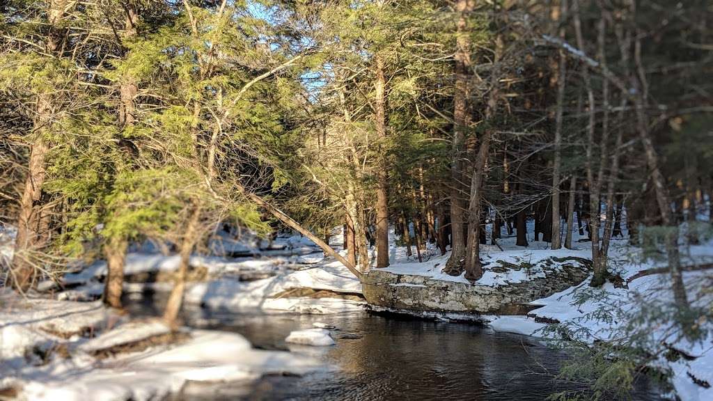 Cobey Pond Trail | Hawley, PA 18428, USA