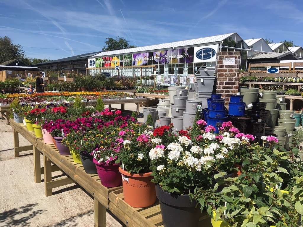 Carpenters Nursery & Farm Shop | 106 St.Albans Rd, Sandridge, St Albans AL4 9LJ, UK | Phone: 01727 853340