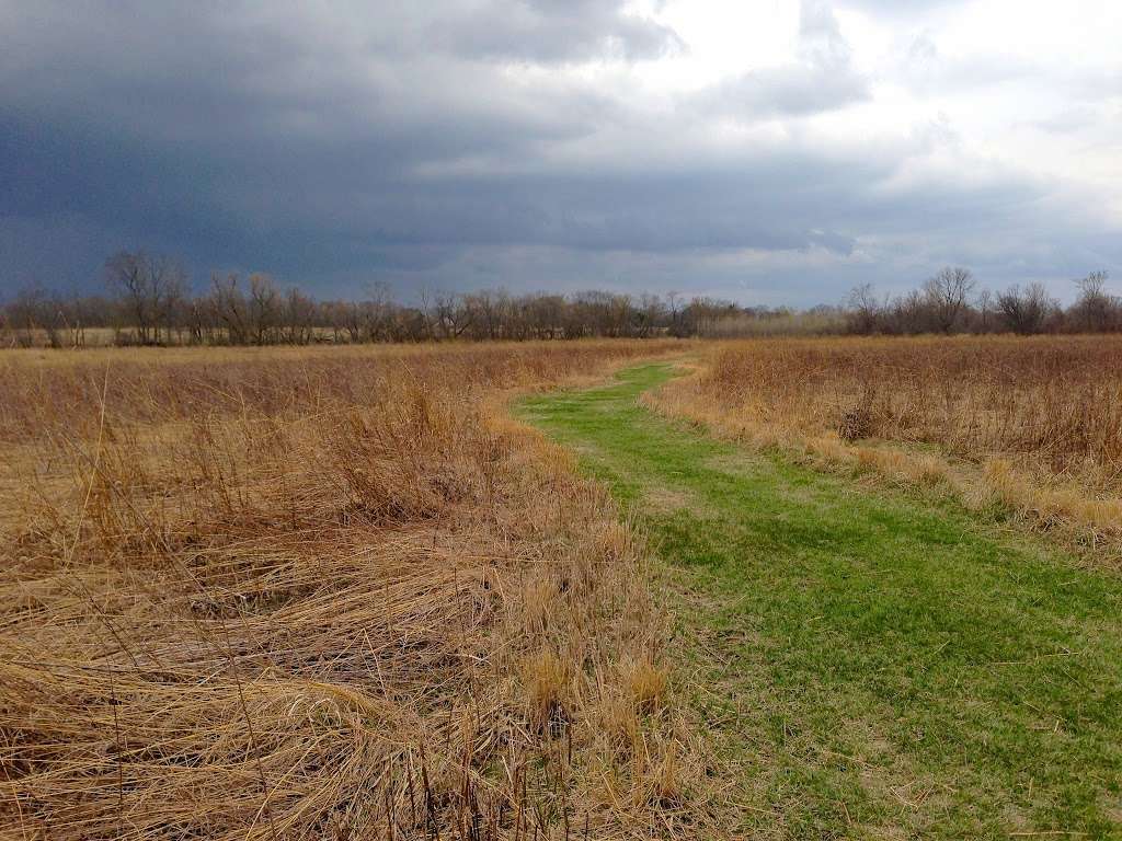 Subat Forest Preserve | 4675-4999 Eldamain Rd, Plano, IL 60545, USA