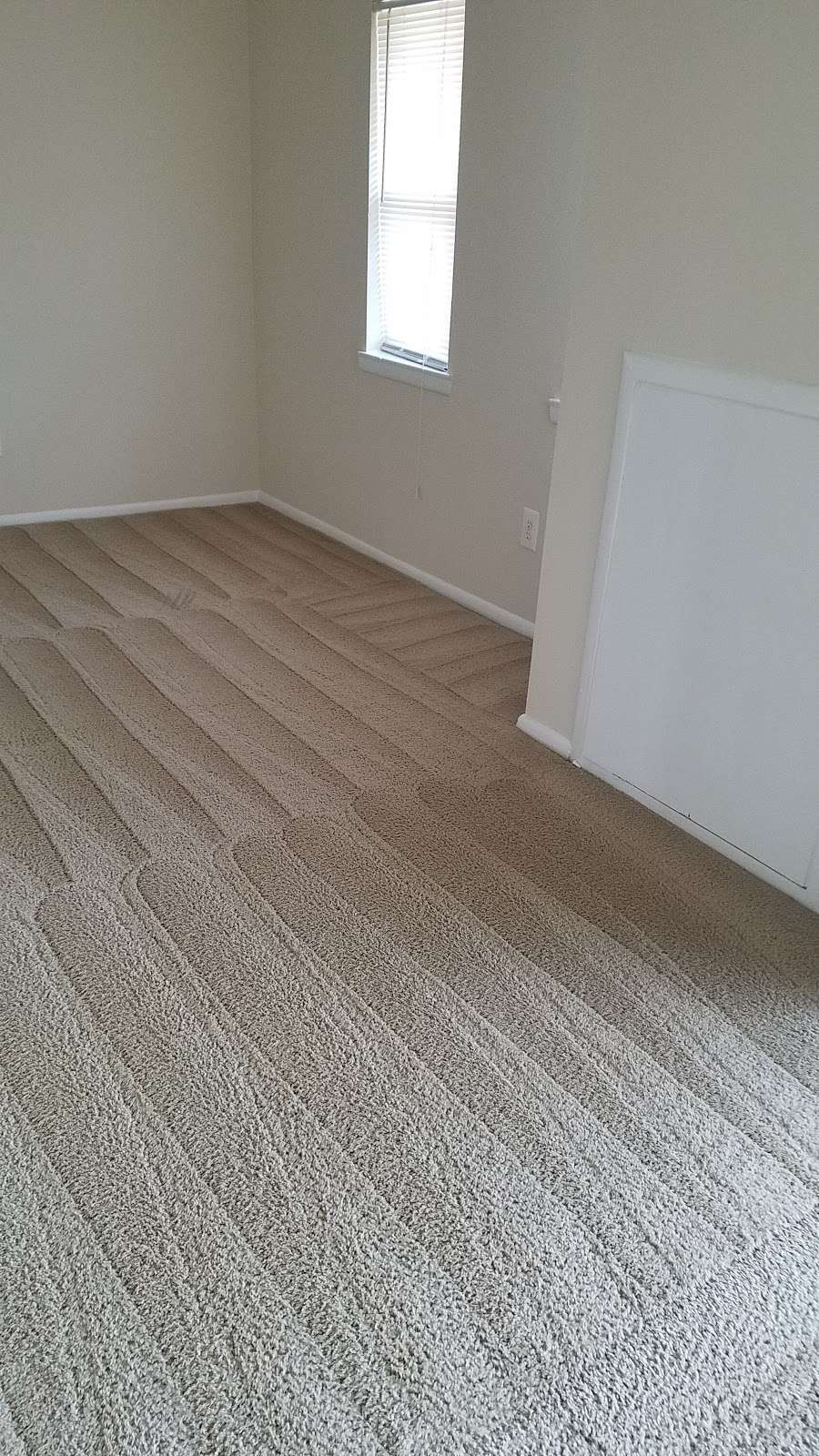 Dshane Professional Carpet Care LLC | 311 Central Rd suite b, Fredericksburg, VA 22405 | Phone: (540) 373-7405
