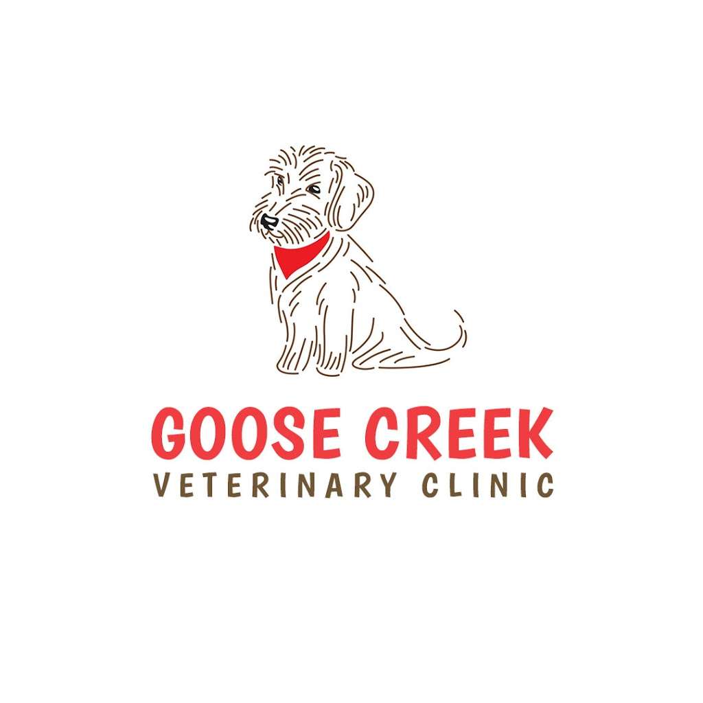 Goose Creek Veterinary Hospital | 42755 Creek View Plaza, Ashburn, VA 20147, USA | Phone: (571) 291-9110