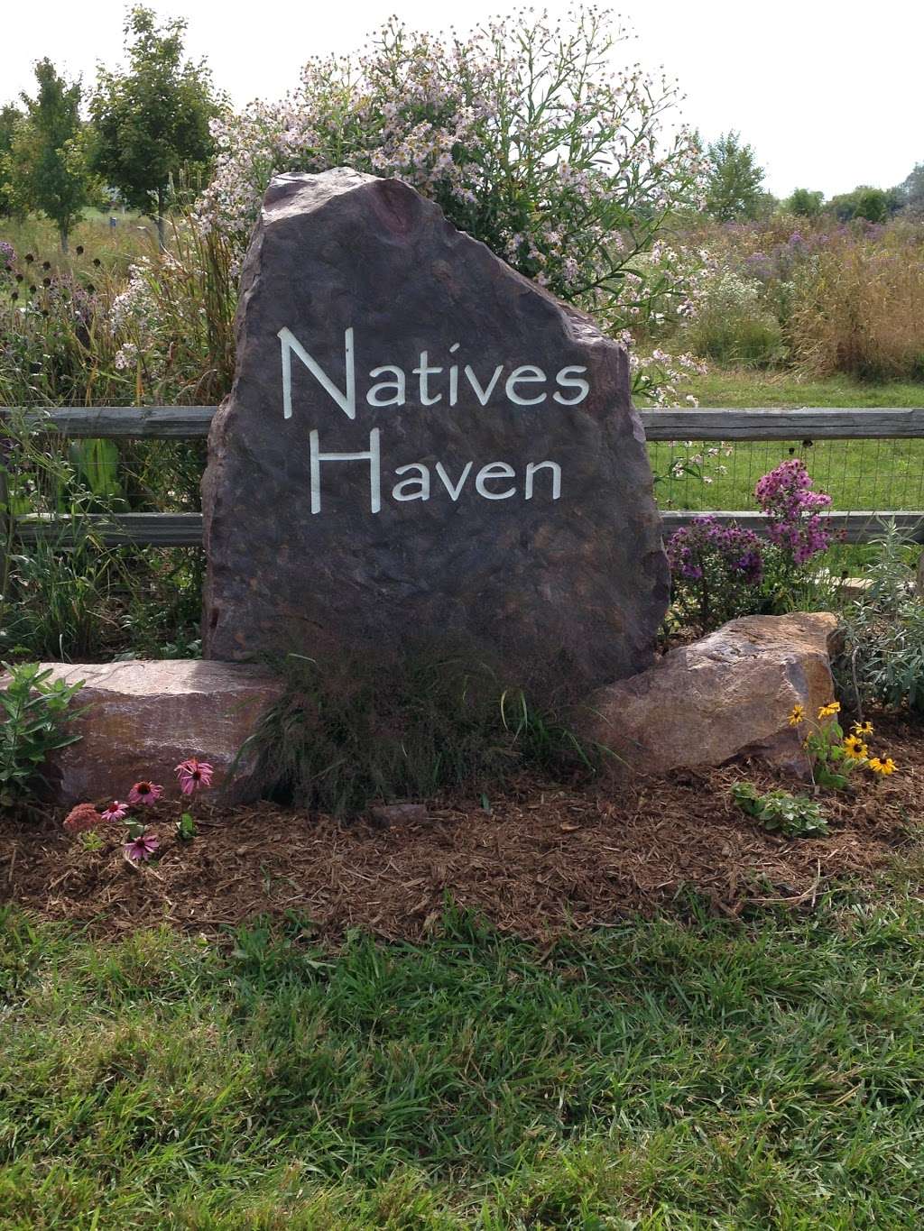 Natives Haven Native Wildflower Nursery | 13809 Durkee Rd, Harvard, IL 60033, USA | Phone: (815) 344-6623