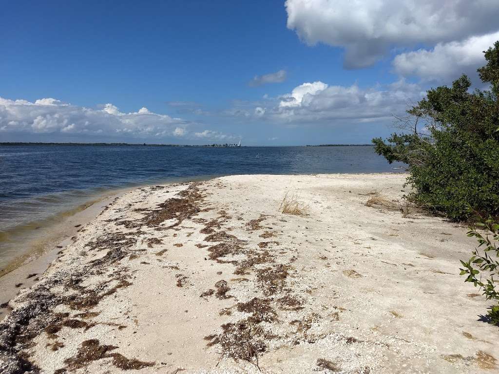 Horseshoe Crab Island | Titusville, FL 32796, USA