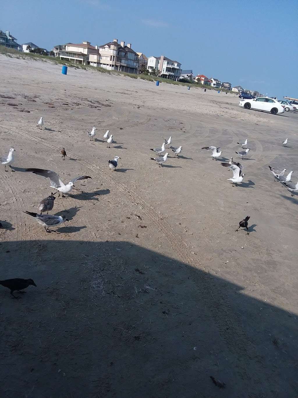 Public Beach Access (with beach parking) #16 | 4245 13 Mile Rd, Galveston, TX 77554, USA