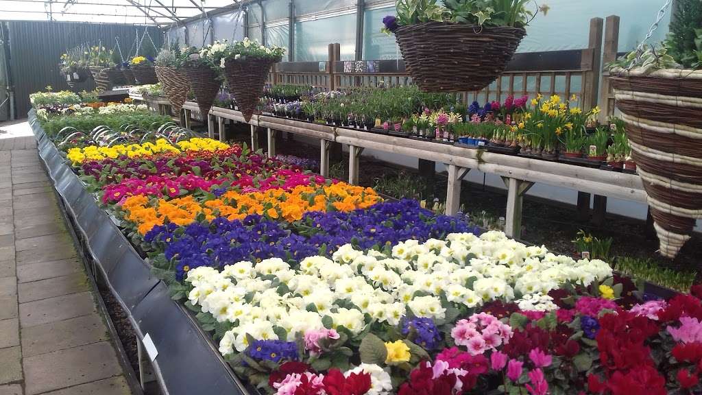 Knights Garden Centres | Knights Garden Centre, Oxted Rd, Godstone RH9 8DB, UK | Phone: 01883 742275