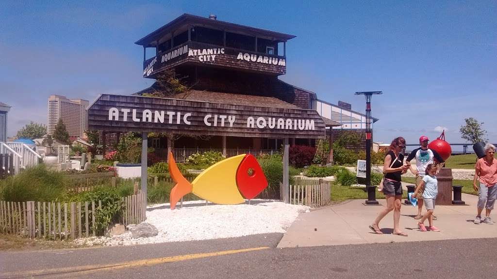 Atlantic City Aquarium | 800 N New Hampshire Ave, Atlantic City, NJ 08401 | Phone: (609) 348-2880