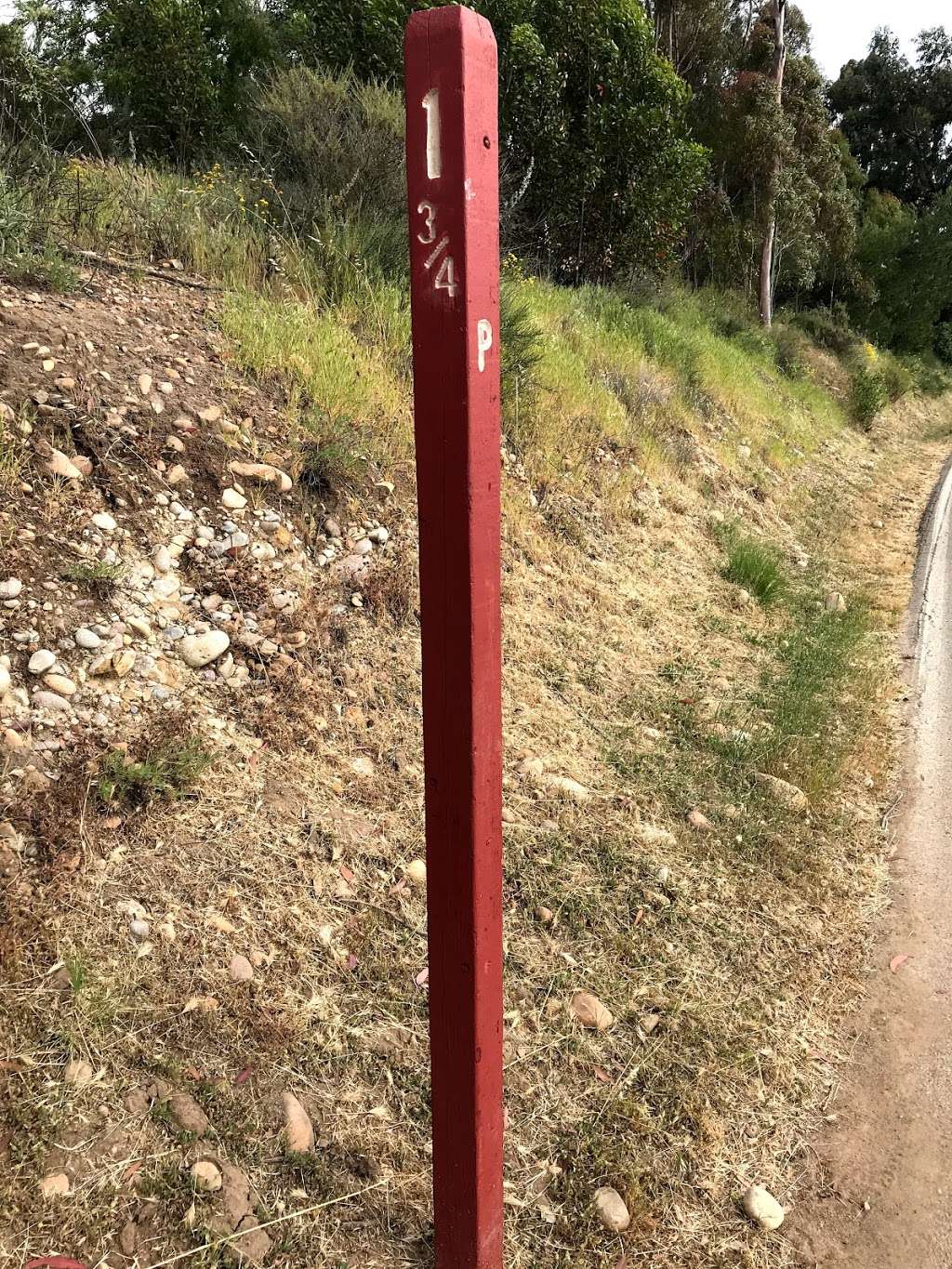 Bernardo Bay Crossing, Lake Miramar Trail | Unnamed Road, San Diego, CA 92131, USA