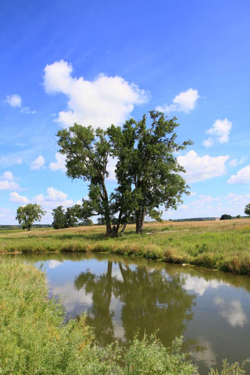 Glacial Park Conservation Area | 6705 State Rte 31, Ringwood, IL 60072, USA | Phone: (815) 678-4532