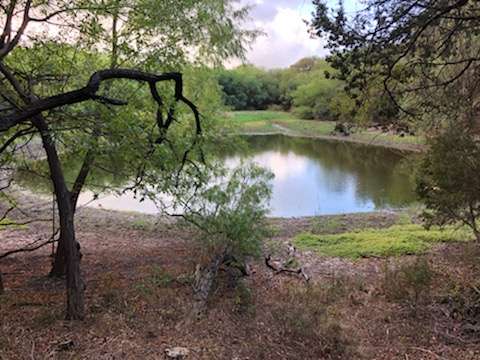 Bulverde Oaks Nature Preserve | 17480 Judson Rd, San Antonio, TX 78247, USA | Phone: (210) 222-8430