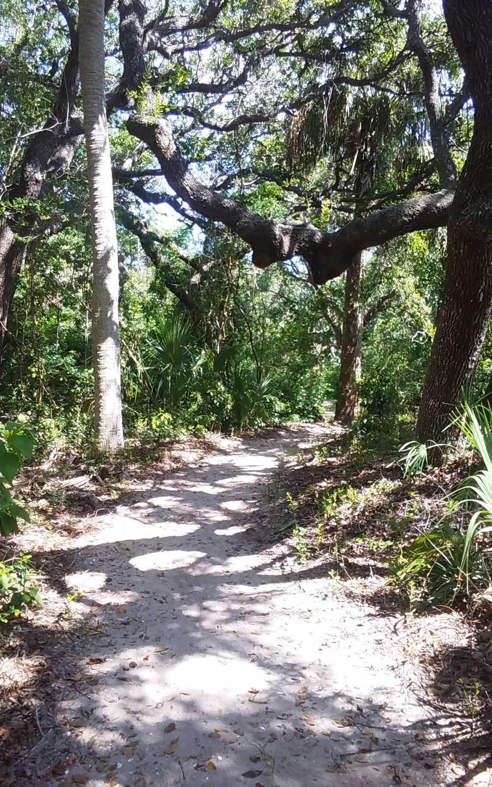 Ponce Inlet Preserve | Ponce Inlet, FL 32127, USA